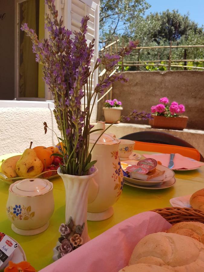 Apartments Guberina شيبينيك المظهر الخارجي الصورة