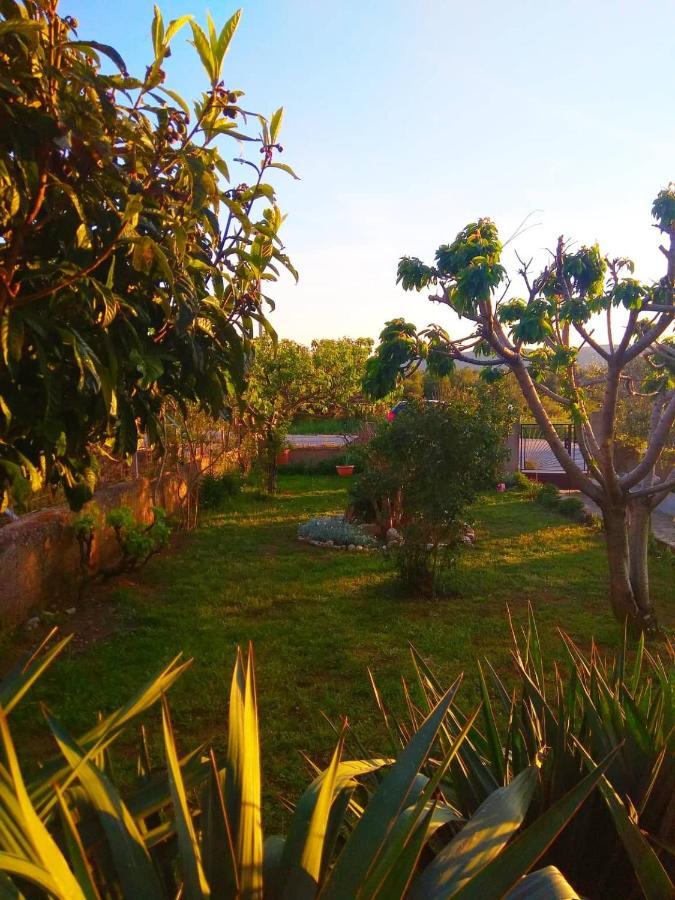 Apartments Guberina شيبينيك المظهر الخارجي الصورة