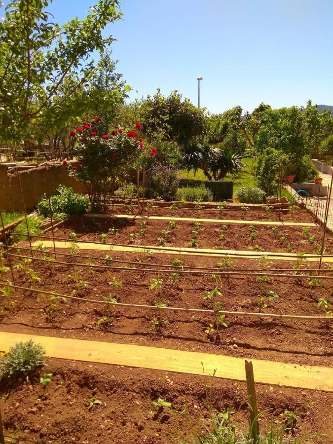 Apartments Guberina شيبينيك المظهر الخارجي الصورة