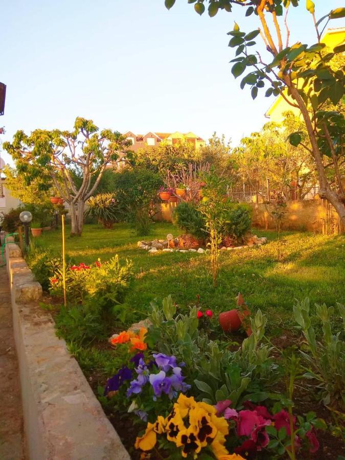 Apartments Guberina شيبينيك المظهر الخارجي الصورة